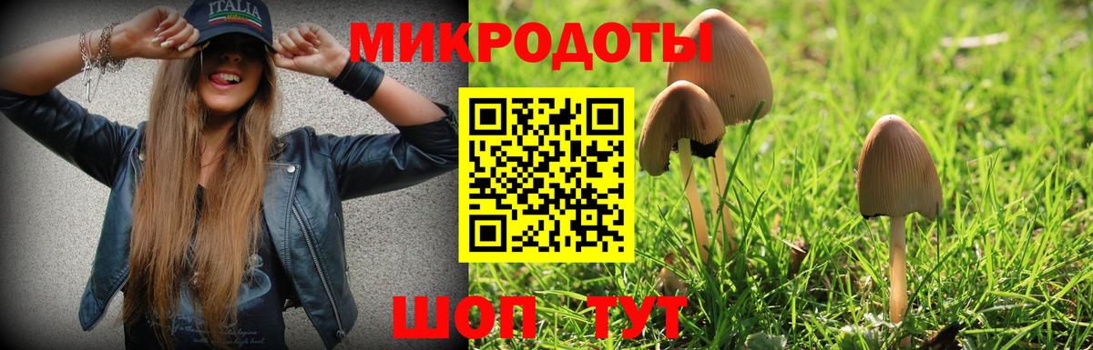 Псилоцибиновые грибы GOLDEN TEACHER  Вход с VPN  Ивантеевка 